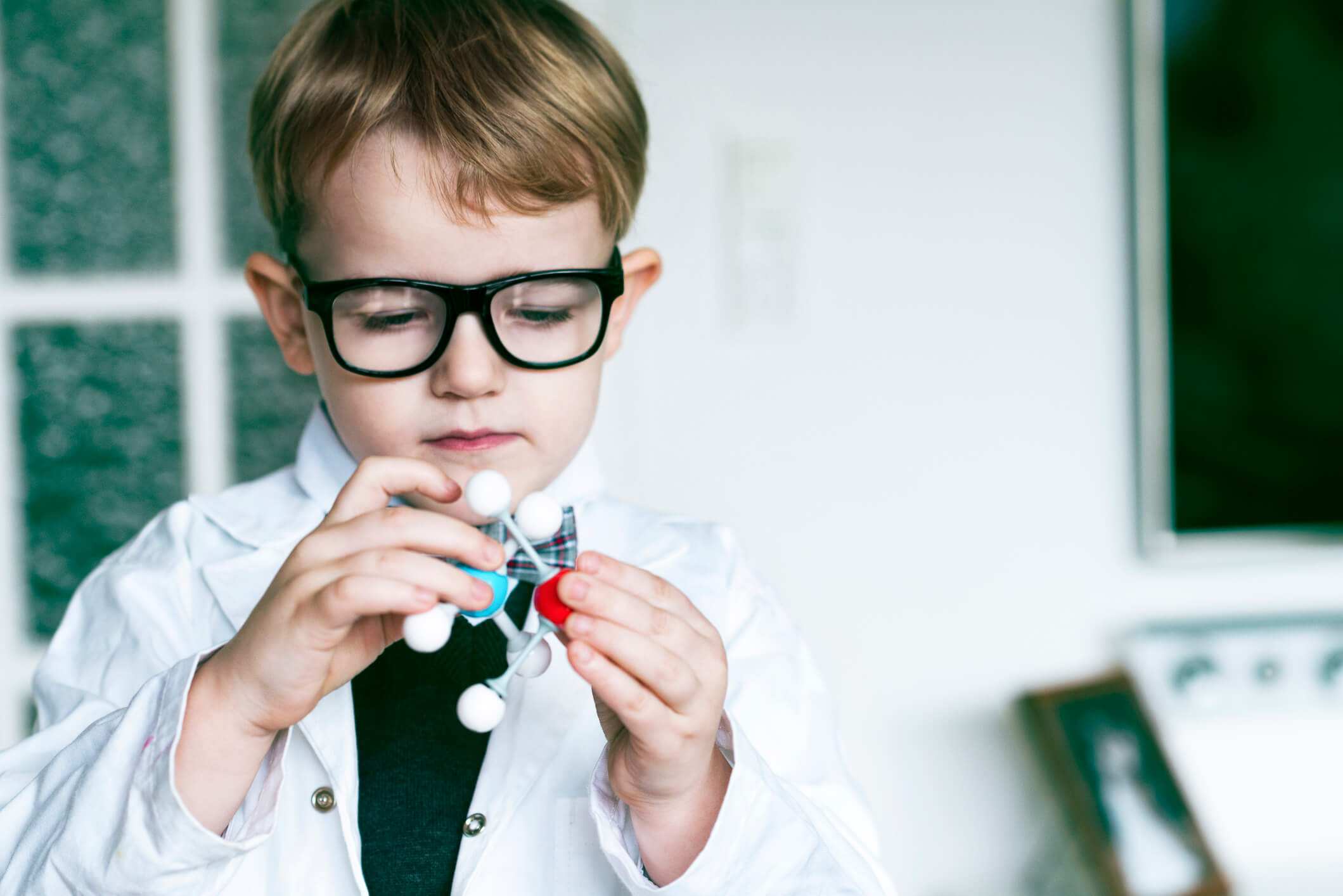 Wissenschaftliche Arbeitsgruppen - Titelbild